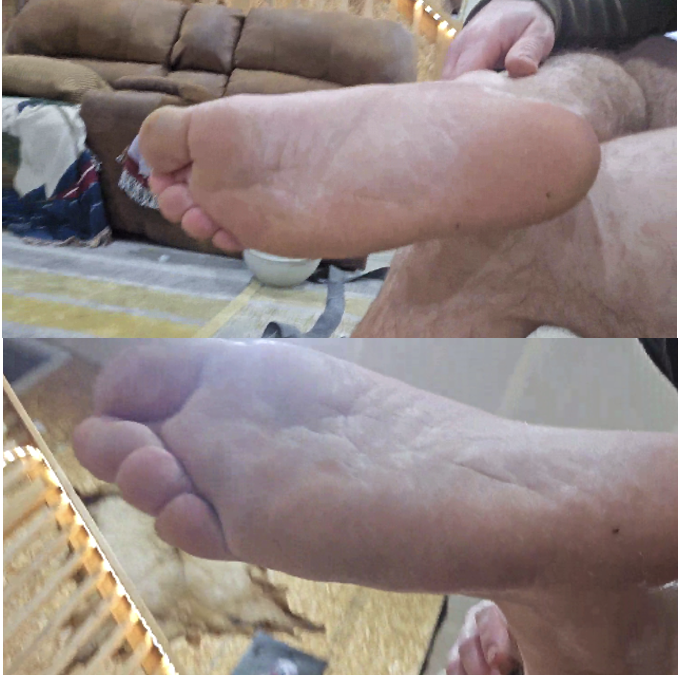 Reference Image 1